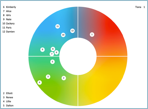 Team Wheel - Facilitation Blog