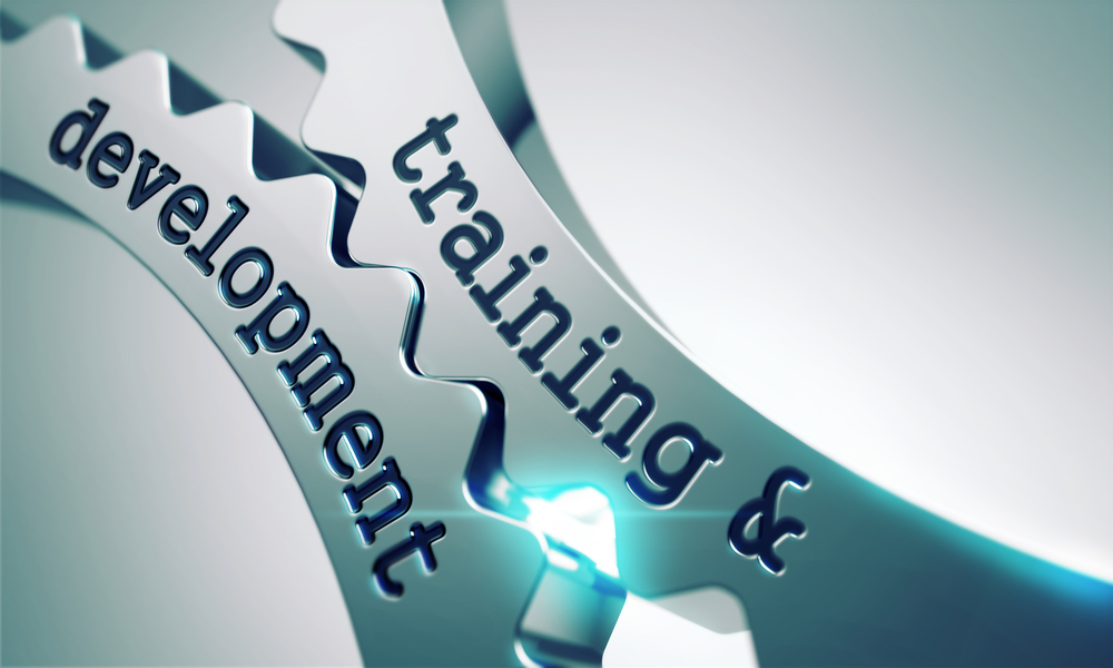 How Effective is Your Training and Development?